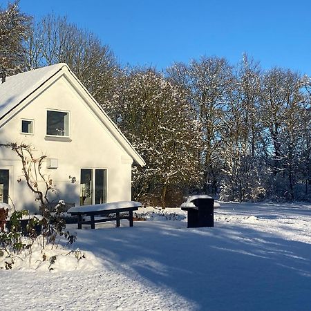 Willa Skont Hus Pa Landet Taet Pa Billund Give Zewnętrze zdjęcie